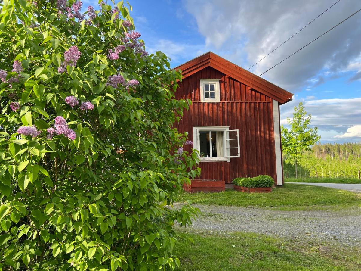 Lilla Backstugan Nora  Exterior photo